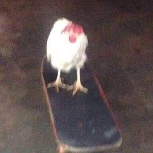 สมาชิกหมายเลข 4174620