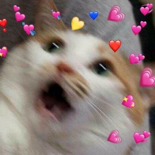 สมาชิกหมายเลข 5873750