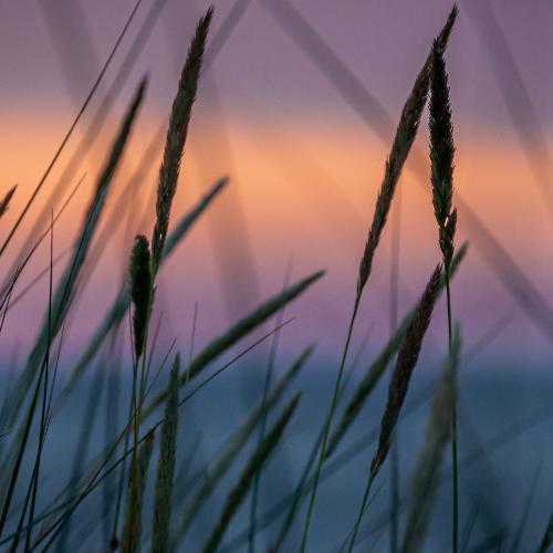 สมาชิกหมายเลข 6006023