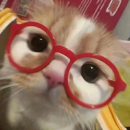 สมาชิกหมายเลข 9005610