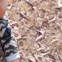 สมาชิกหมายเลข 3040962