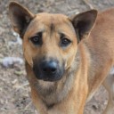 สมาชิกหมายเลข 3772250