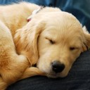 สมาชิกหมายเลข 3724466