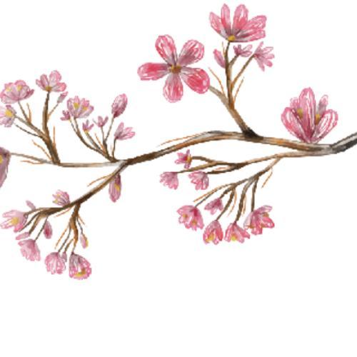 สมาชิกหมายเลข 3896844