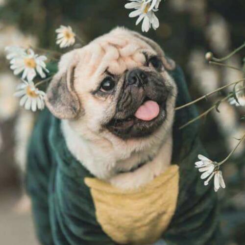 สมาชิกหมายเลข 4983744