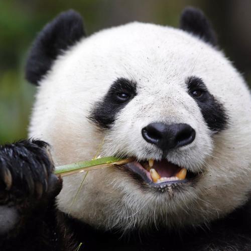 สมาชิกหมายเลข 5311564