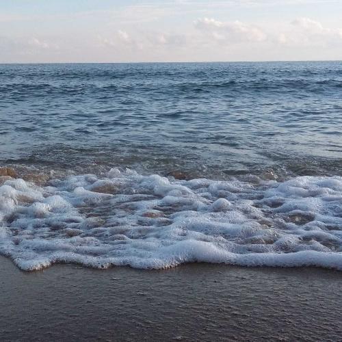 สมาชิกหมายเลข 5874312