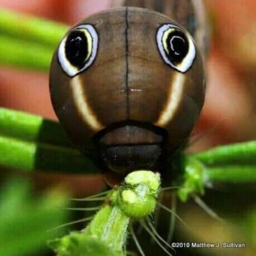 สมาชิกหมายเลข 5874370