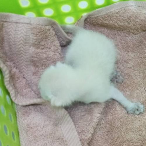 สมาชิกหมายเลข 6453191