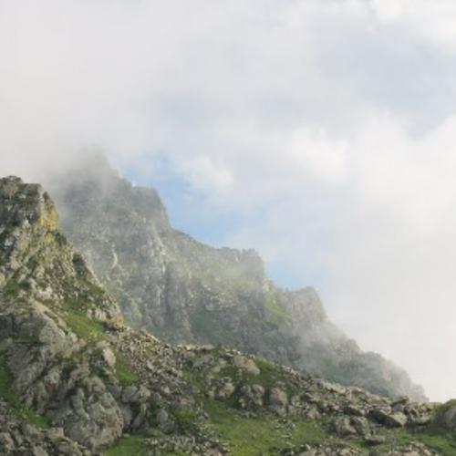 สมาชิกหมายเลข 7179374