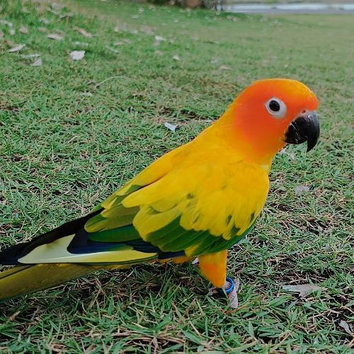 สมาชิกหมายเลข 5751131