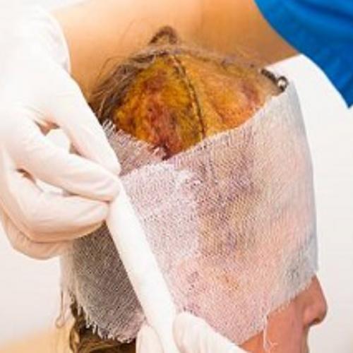 สมาชิกหมายเลข 7980140