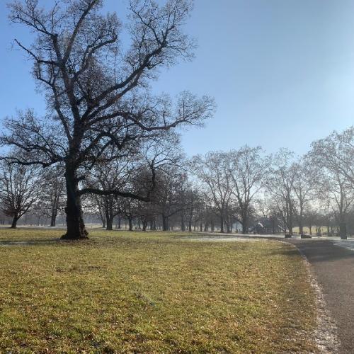 สมาชิกหมายเลข 4829060