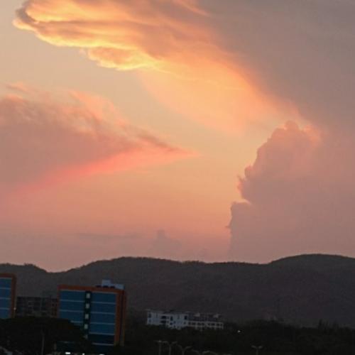 สมาชิกหมายเลข 7847787