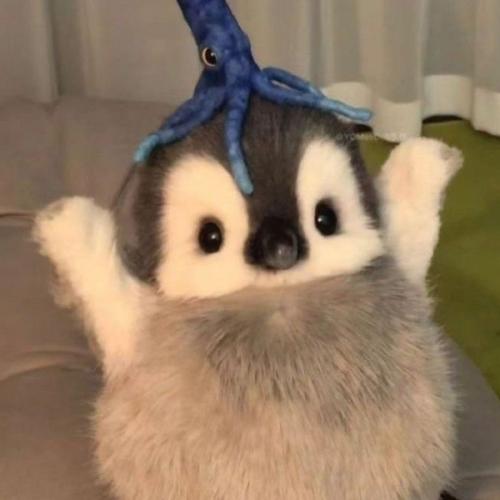 สมาชิกหมายเลข 7887367