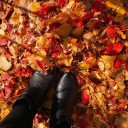 สมาชิกหมายเลข 1197583