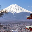 สมาชิกหมายเลข 4235414