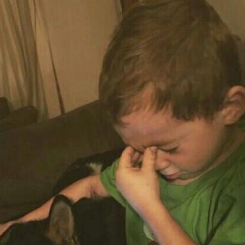 สมาชิกหมายเลข 1263383