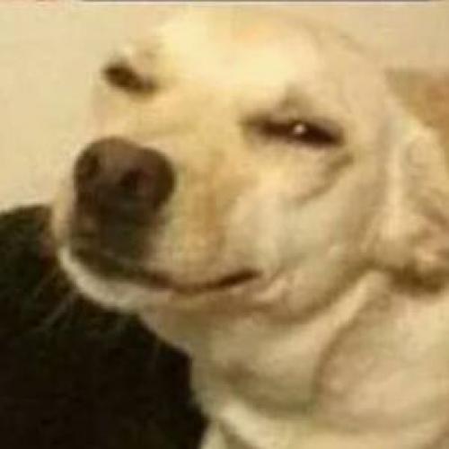 สมาชิกหมายเลข 4626595