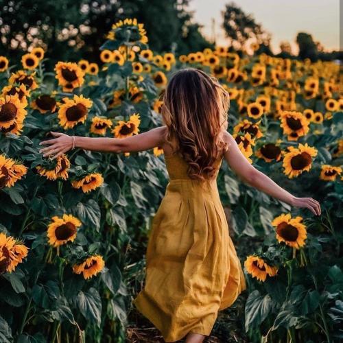 สมาชิกหมายเลข 5195484