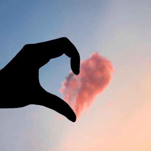 สมาชิกหมายเลข 3706780