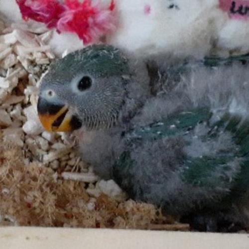 สมาชิกหมายเลข 5874812