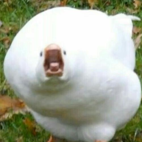 สมาชิกหมายเลข 5874936