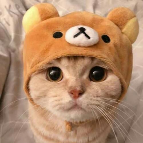 สมาชิกหมายเลข 5875253