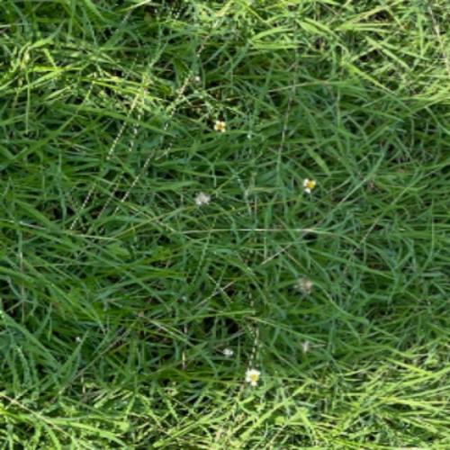 สมาชิกหมายเลข 2088015