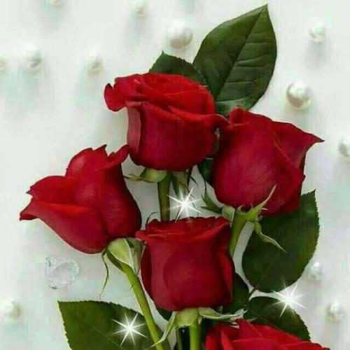 สมาชิกหมายเลข 3835385