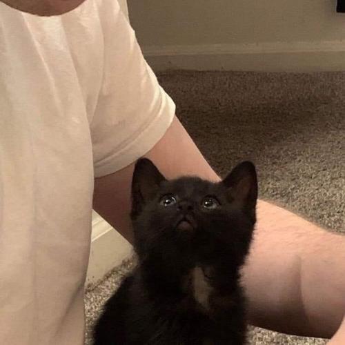 สมาชิกหมายเลข 6474273