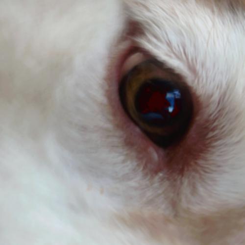 สมาชิกหมายเลข 3005497