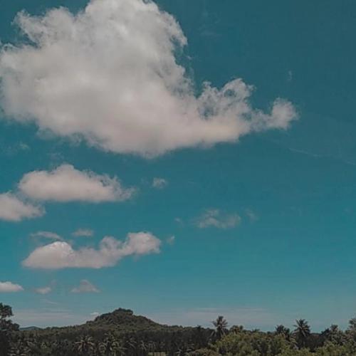 สมาชิกหมายเลข 7179959