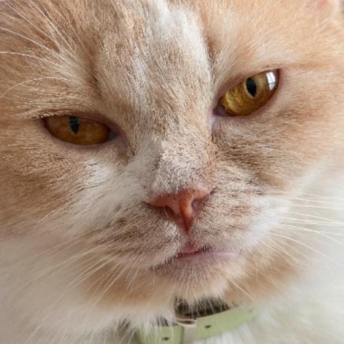 รักมูนที่สุดเลย