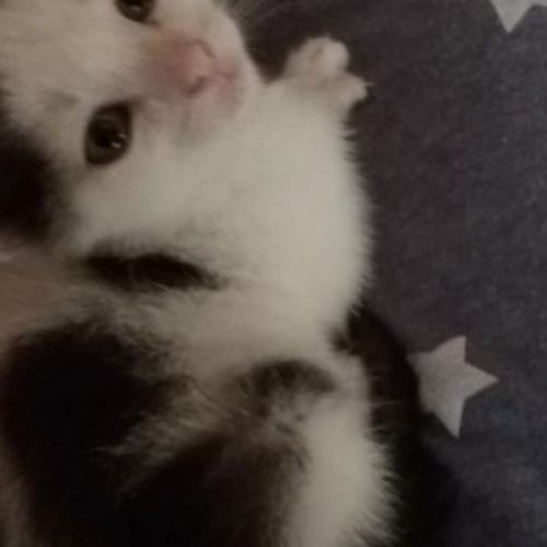 สมาชิกหมายเลข 7976004