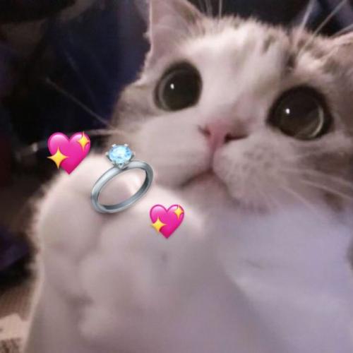 สมาชิกหมายเลข 7981013