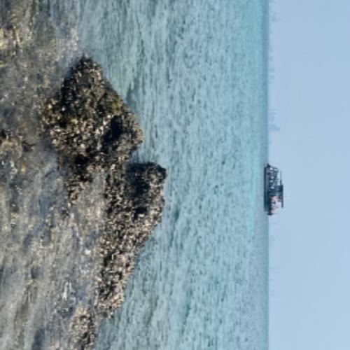 สมาชิกหมายเลข 9004223