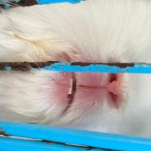 สมาชิกหมายเลข 9007396