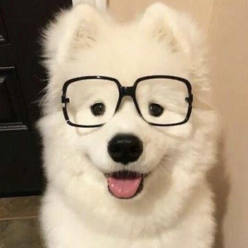 สมาชิกหมายเลข 9007488