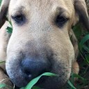 สมาชิกหมายเลข 3122709