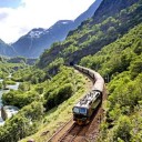 สมาชิกหมายเลข 3773040