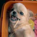 สมาชิกหมายเลข 4237788