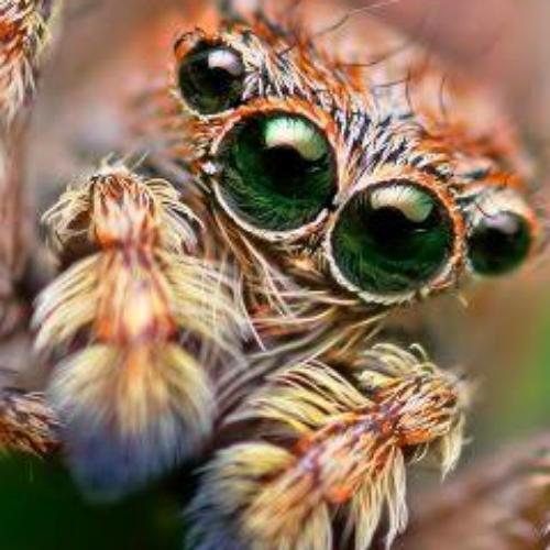 สมาชิกหมายเลข 4626769