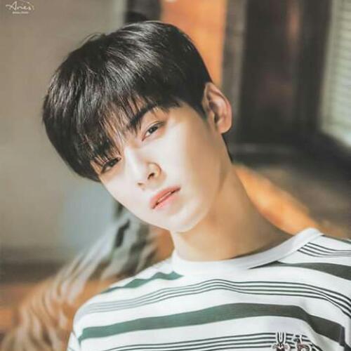 สมาชิกหมายเลข 4983824