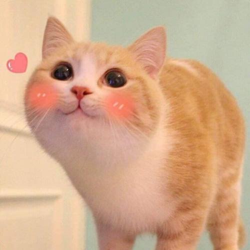 สมาชิกหมายเลข 5264934