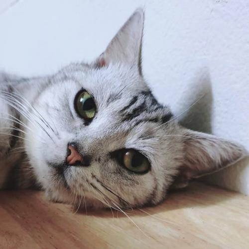 สมาชิกหมายเลข 3205052