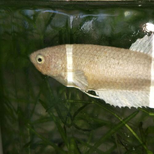 สมาชิกหมายเลข 5875488