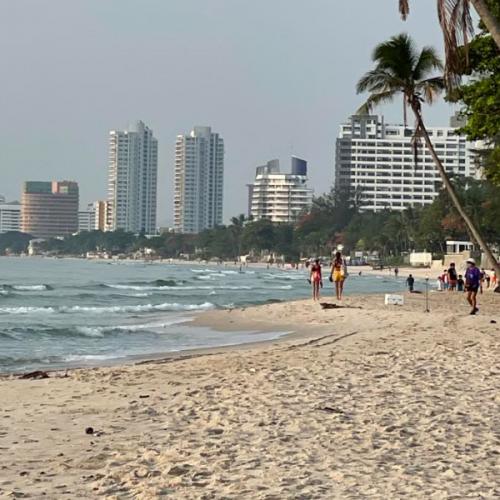 สมาชิกหมายเลข 4120641