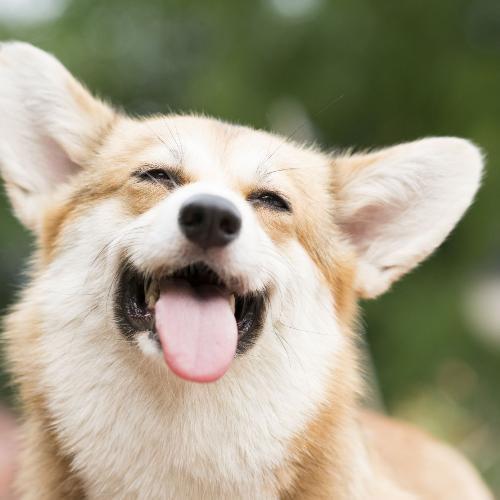 สมาชิกหมายเลข 7975254