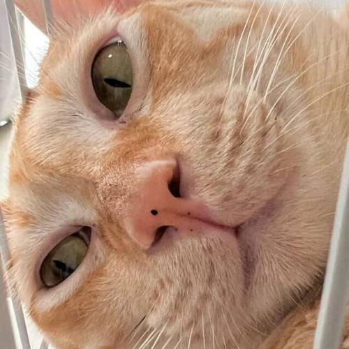 สมาชิกหมายเลข 3184953